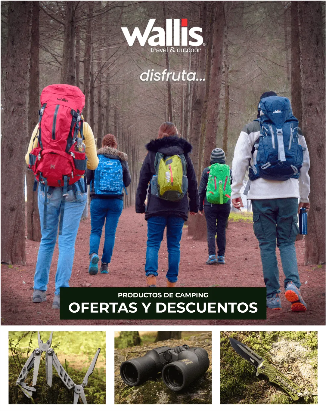 Catálogo de Wallis 27 de noviembre al 2 de diciembre 2023 - Pagina 