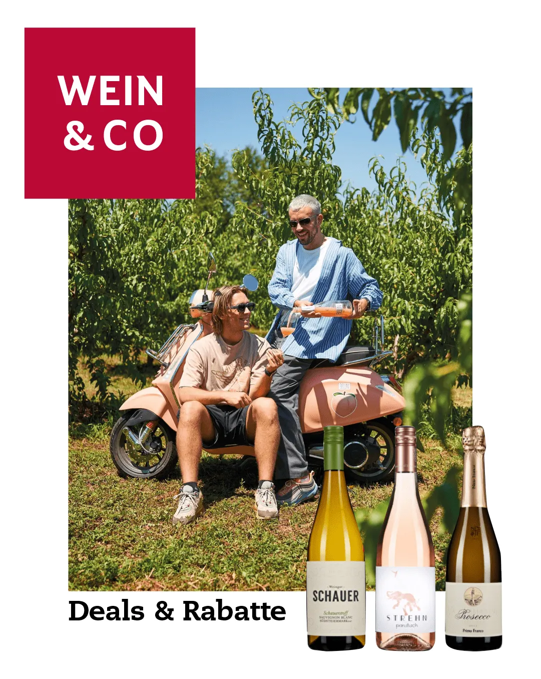 Wein & Co von 20. Jänner bis 25. Jänner 2024 - Flugblätt seite  
