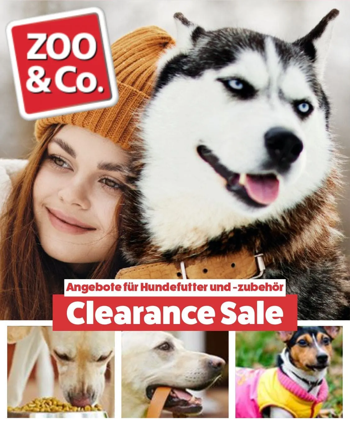 ZOO & Co Hundefutter Zubehör Angebote von 20. Juli bis 25. Juli 2024 - Flugblätt seite  