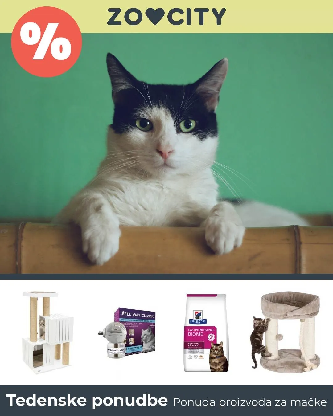 Katalog Ponuda proizvoda za mačke od 21. ožujka do 26. ožujka 2024. - Pregled Stranica 