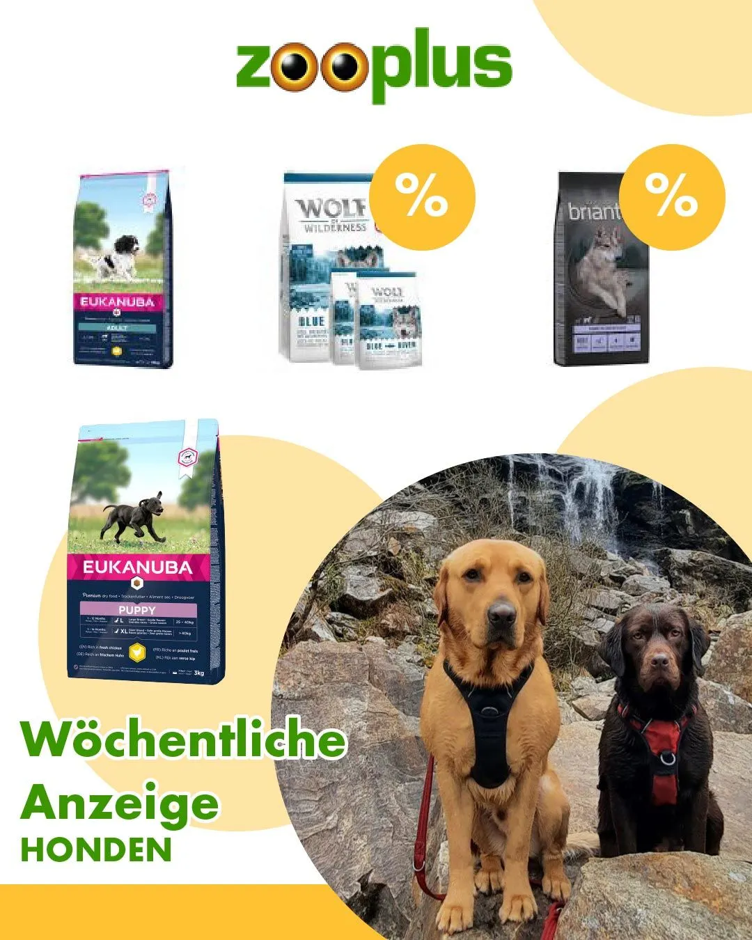 Zooplus Honden Aanbiedingen van 4 december tot 19 december 2025 - folder pagina