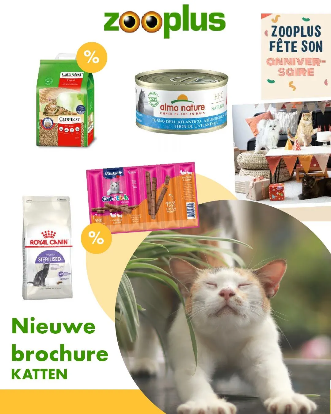 Zooplus Katten Aanbiedingen van 4 december tot 19 december 2025 - folder pagina