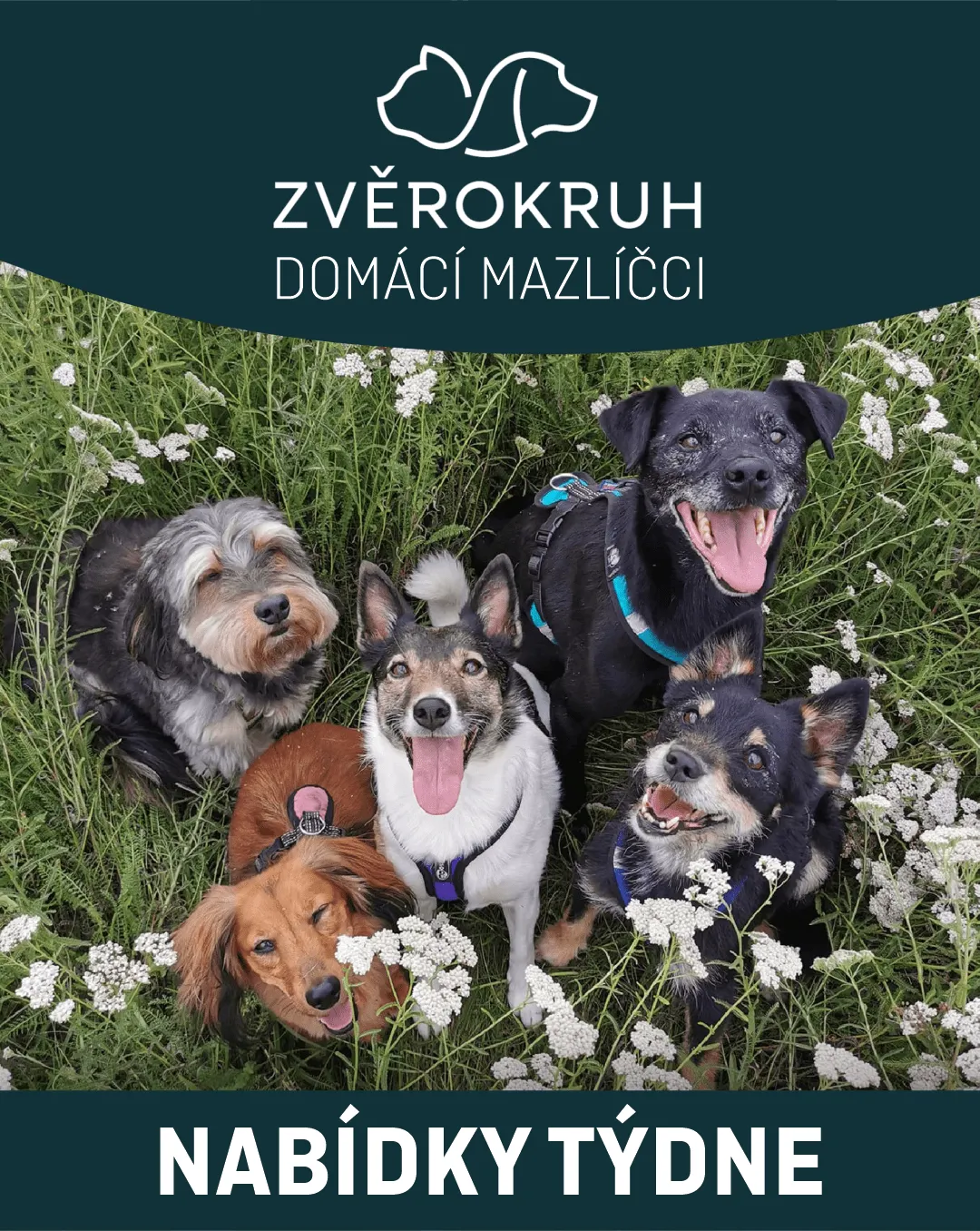 Zvěrokruh - Acke - 24. srpna 29. srpna 2023 - Page 1