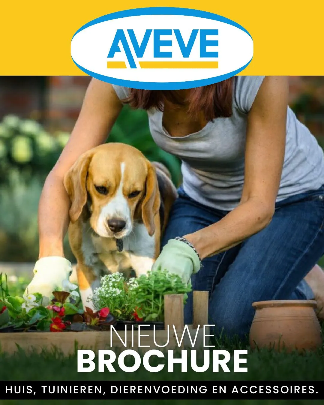 Aveve - Huisdieren van 1 januari tot 6 januari 2024 - Folder pagina 