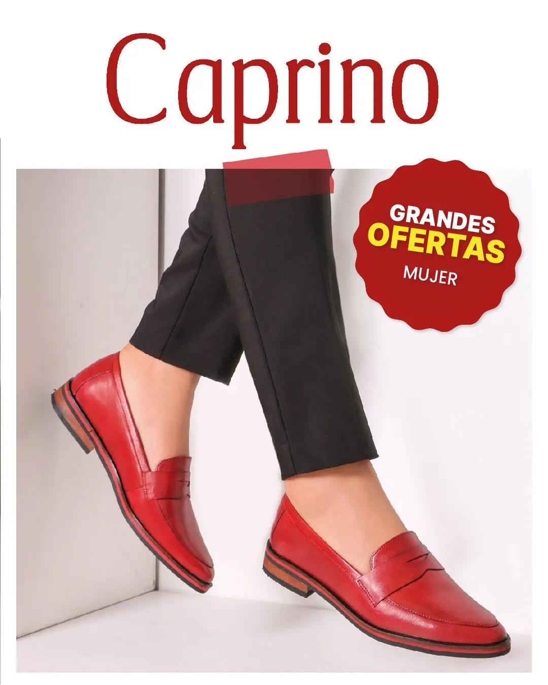 Catalogo de Ofertas en calzado para mujer 20 de febrero al 25 de febrero 2024 - Pag 