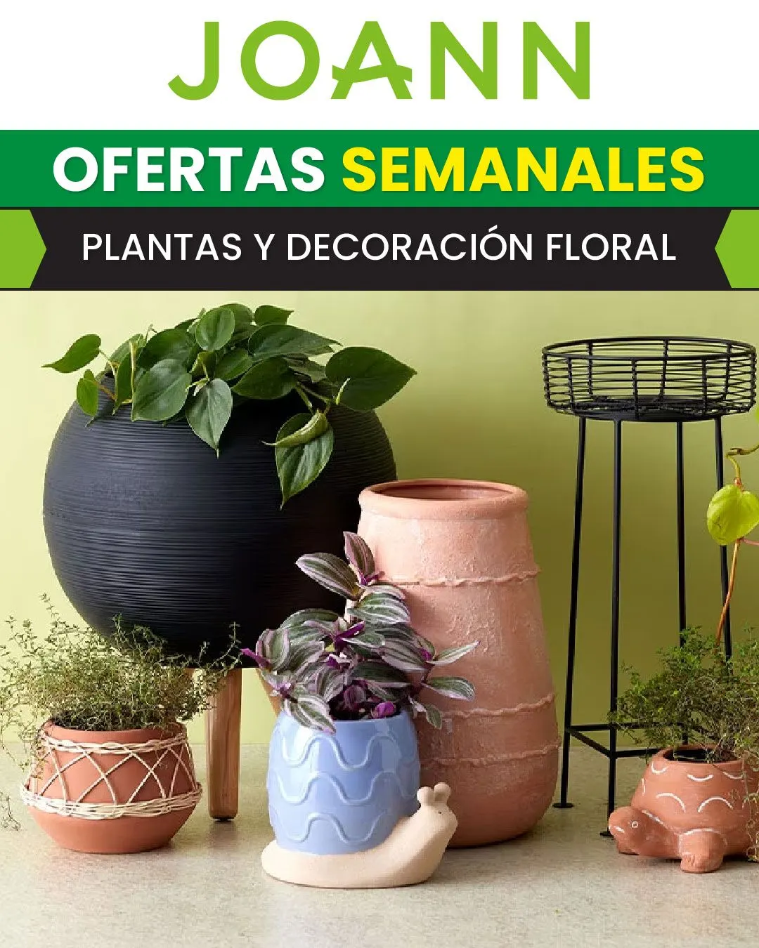 Catálogo de Ofertas en decoración floral 7 de abril al 12 de abril 2024 - Página 
