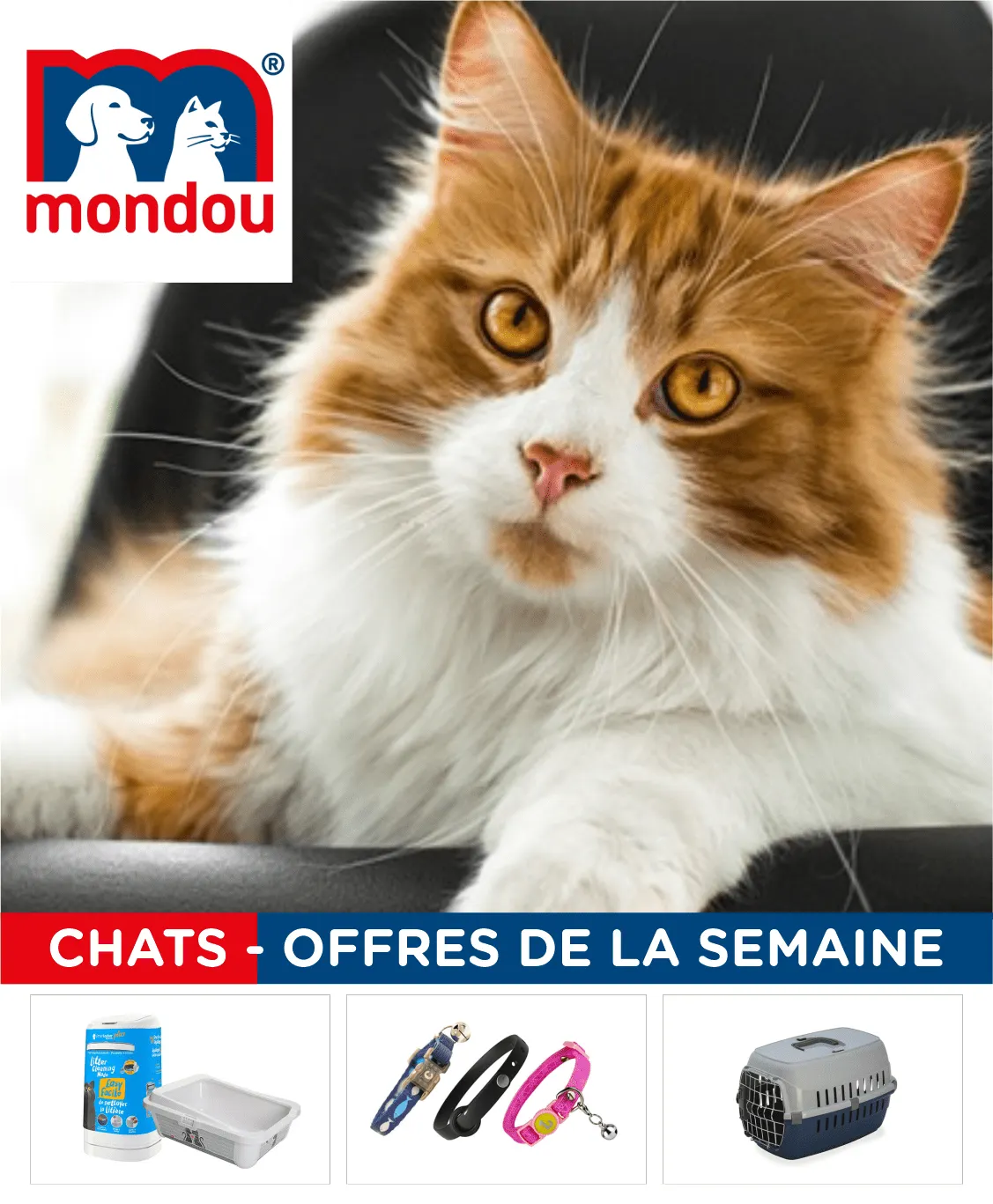 Mondou Promos: Chats du 30 août au 14 septembre 2025 - Circulaires page 