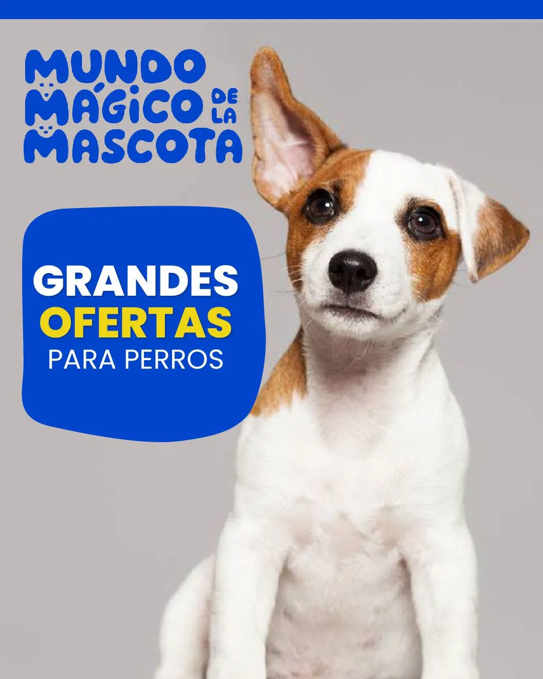 Catalogo de Ofertas en productos para perros 23 de marzo al 28 de marzo 2024 - Pag 