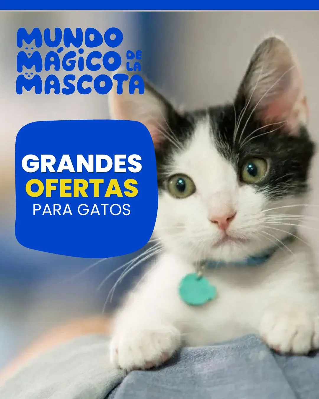 Catalogo de Mundo Mágico de la Mascota	- Gatos 1 de diciembre al 16 de diciembre 2025 - Pag 