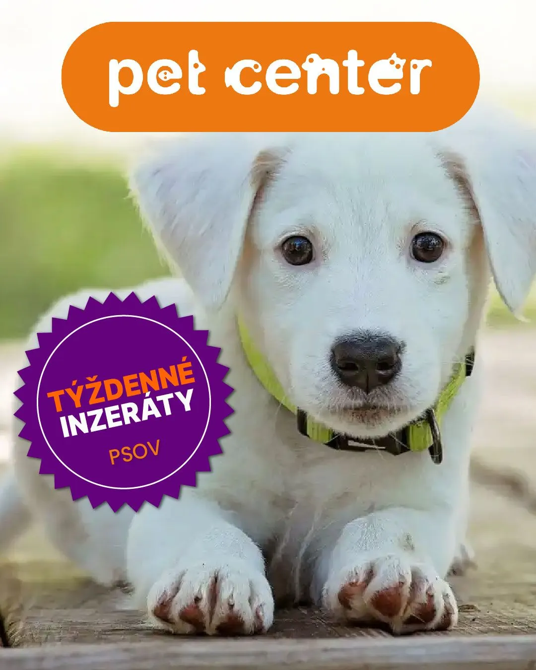 Leták: Pet Center - Psy od 14. marca do 19. marca 2024 - Prehľad Stránky 