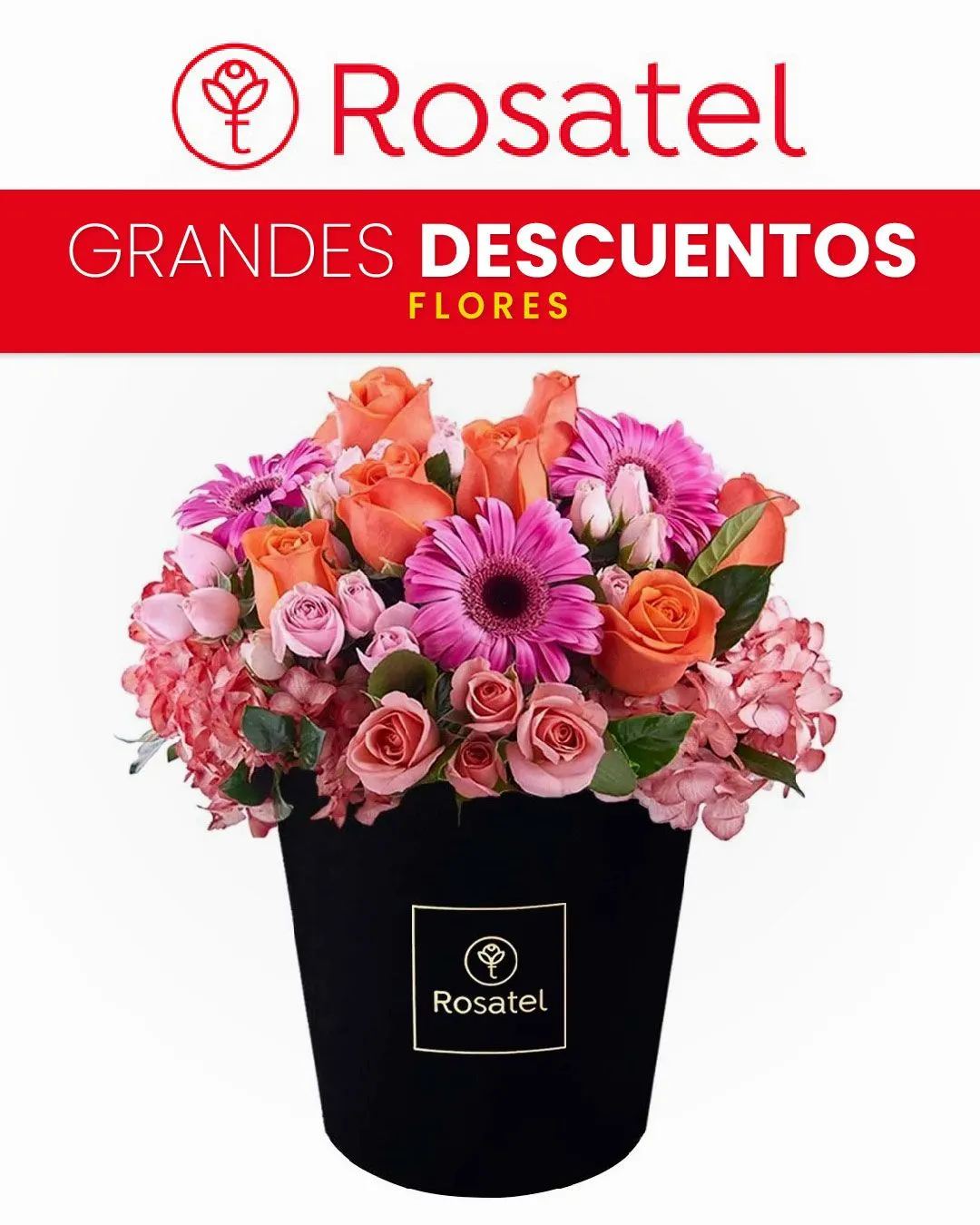 Catalogo de Rosatel ofertas en plantas y ramos 11 de setiembre al 16 de setiembre 2024 - Pag 