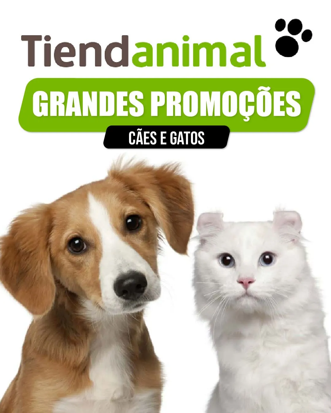Folheto Tiendanimal - Cães e gatos de 13 de abril até 18 de abril 2024 - Pagina 