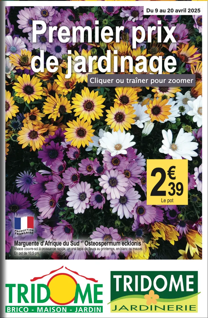 Catalogue du 9 avril au 22 avril 2025 - Catalogue page 1