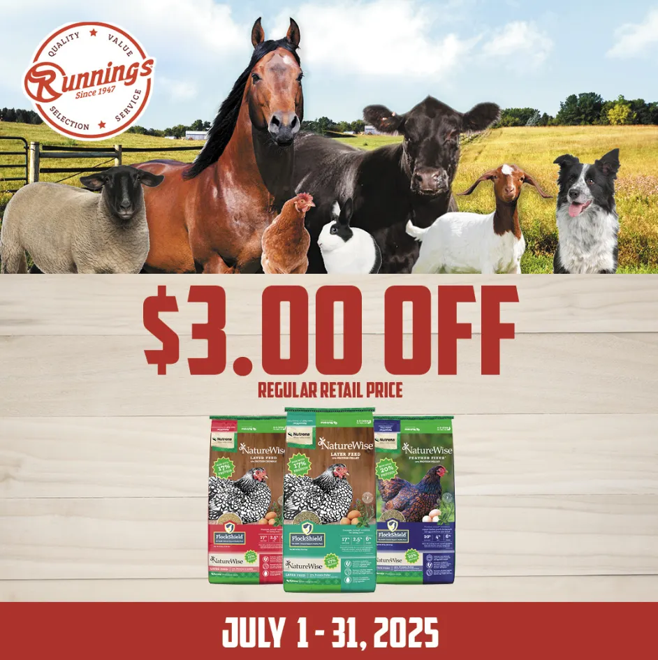 Weekly ad Big Discounts from July 8 to July 31 2025 - Page 1