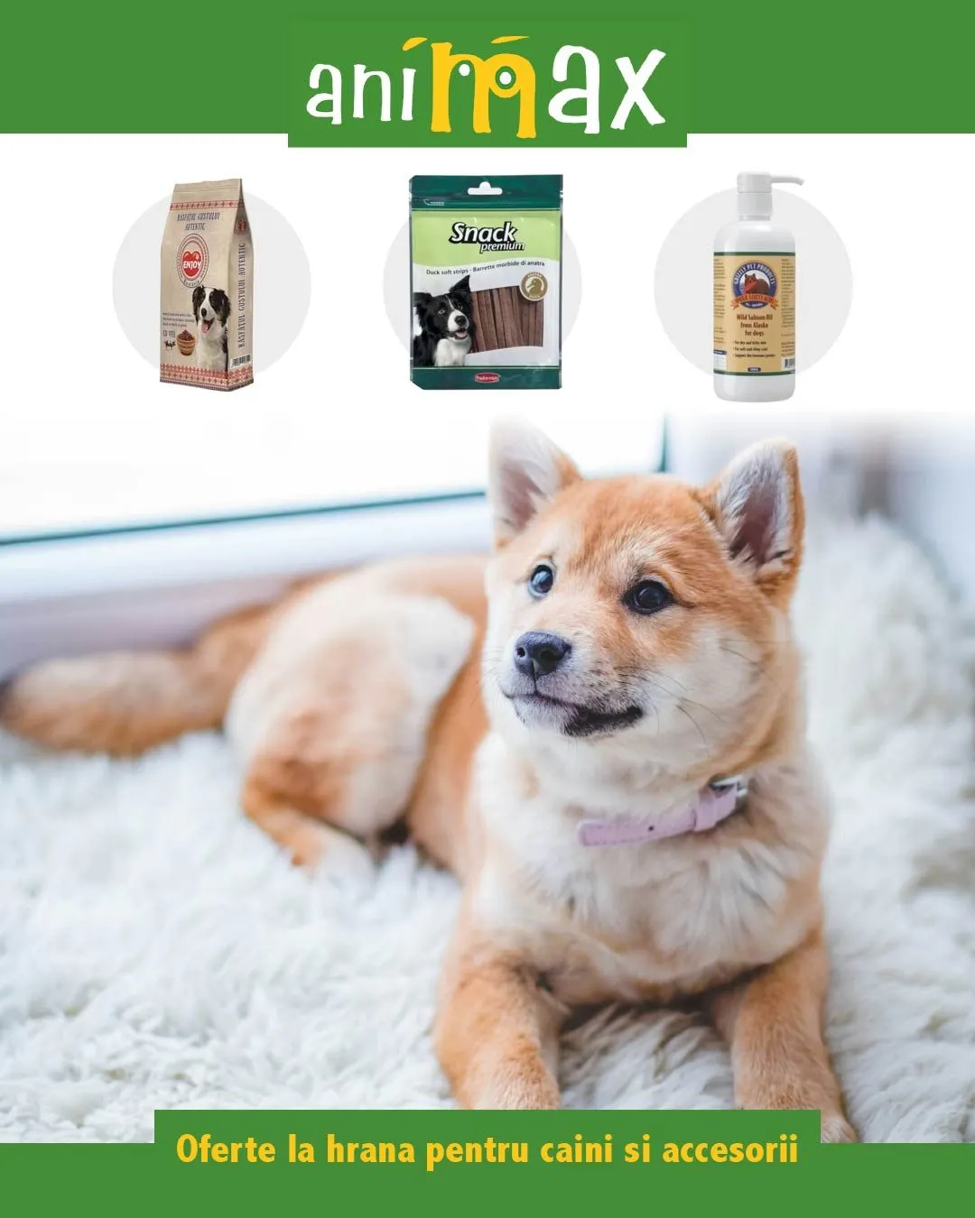 Catalog Animax Oferte: Câini de la 11 iunie până la 16 iunie 2024 - Revista Pagina 