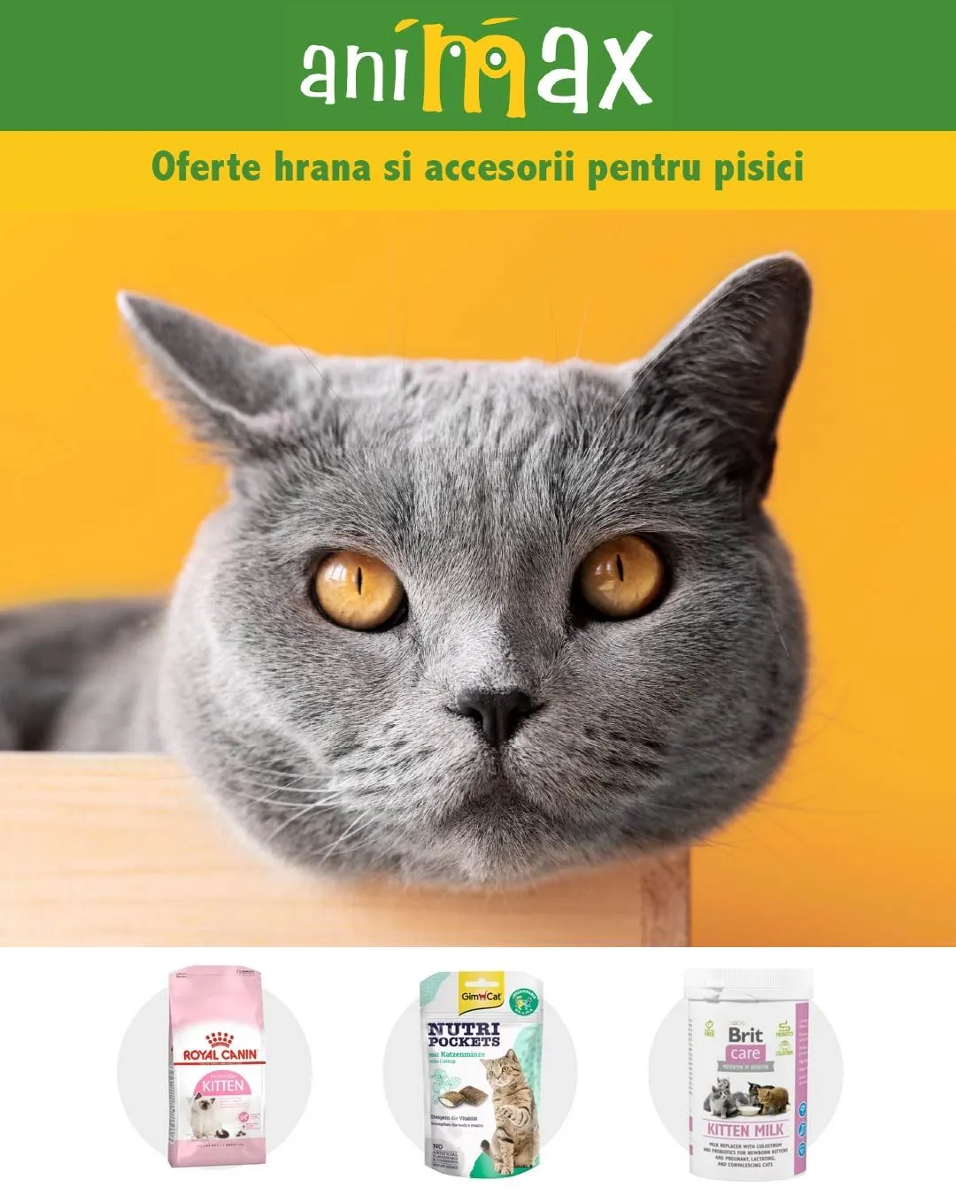 Catalog Animax Oferte: Pisici de la 17 iunie până la 22 iunie 2024 - Revista Pagina 