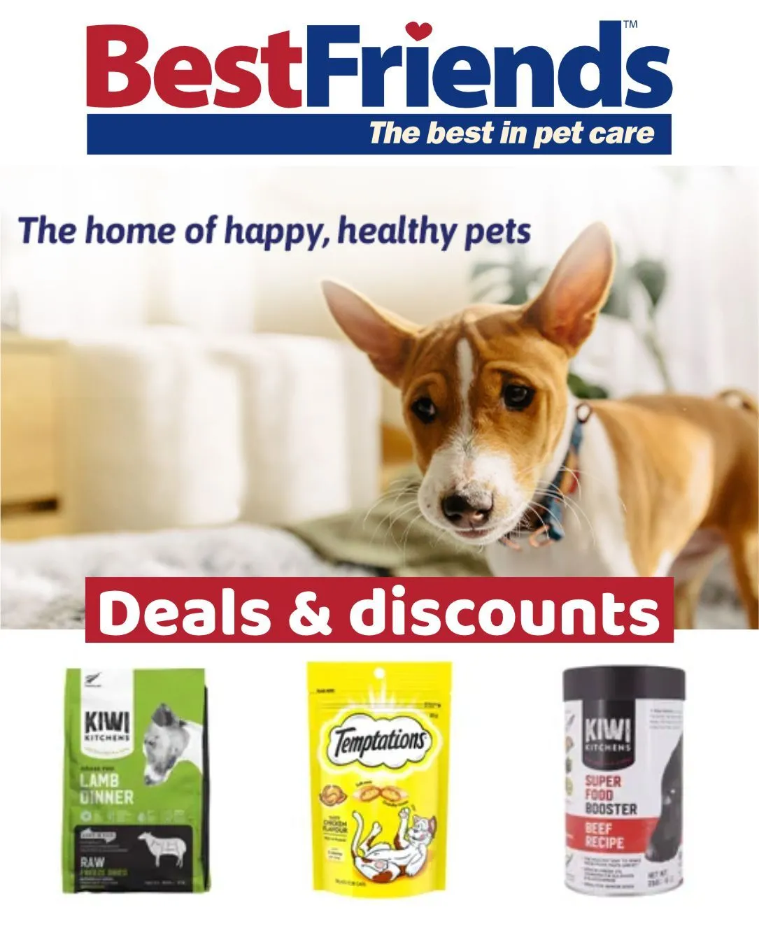 Offers on items for dogs and cats - Catalogue valid from 17 May to 22 May 2024 - page 