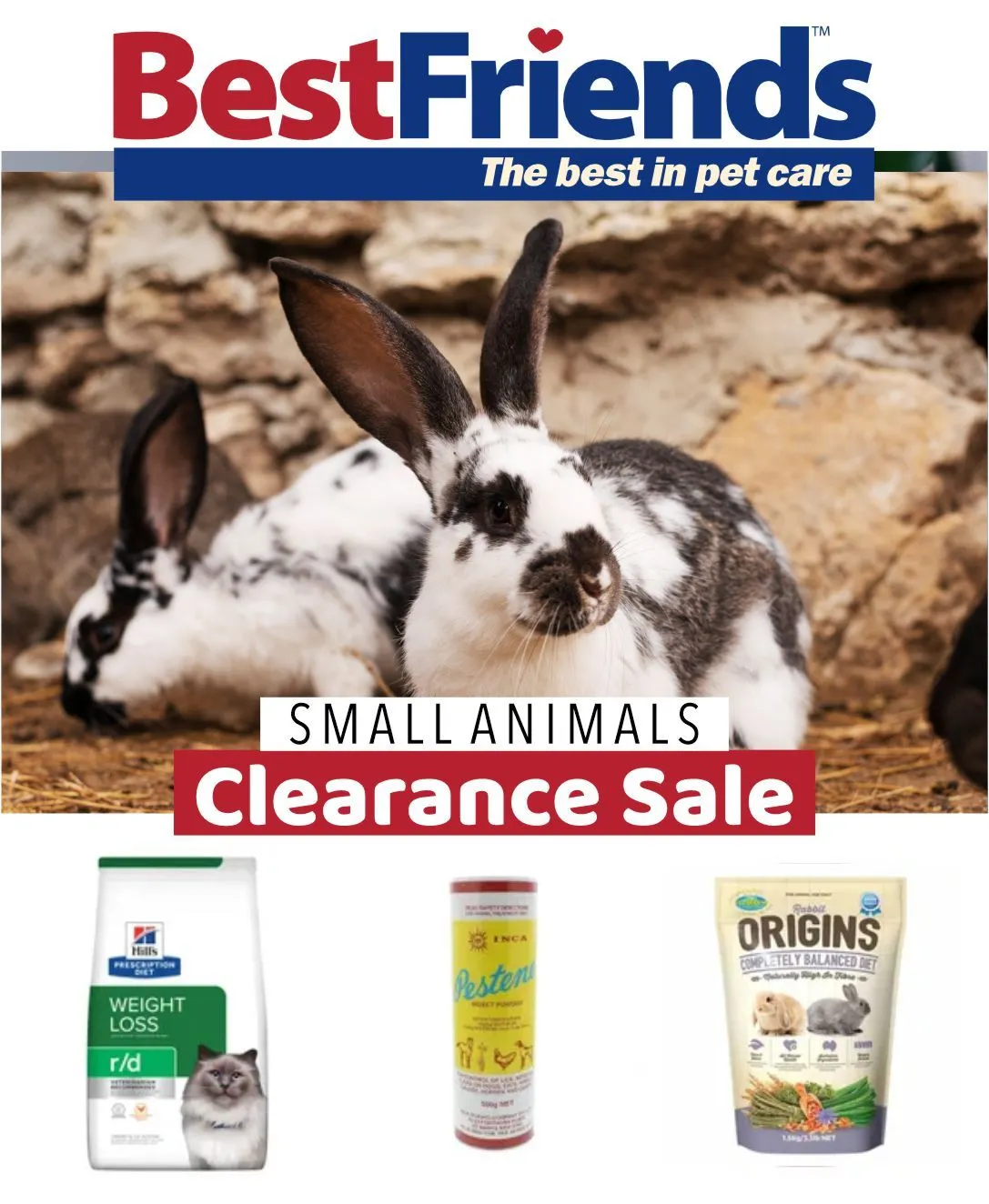 Offers on items for small animals - Catalogue valid from 17 May to 22 May 2024 - page 