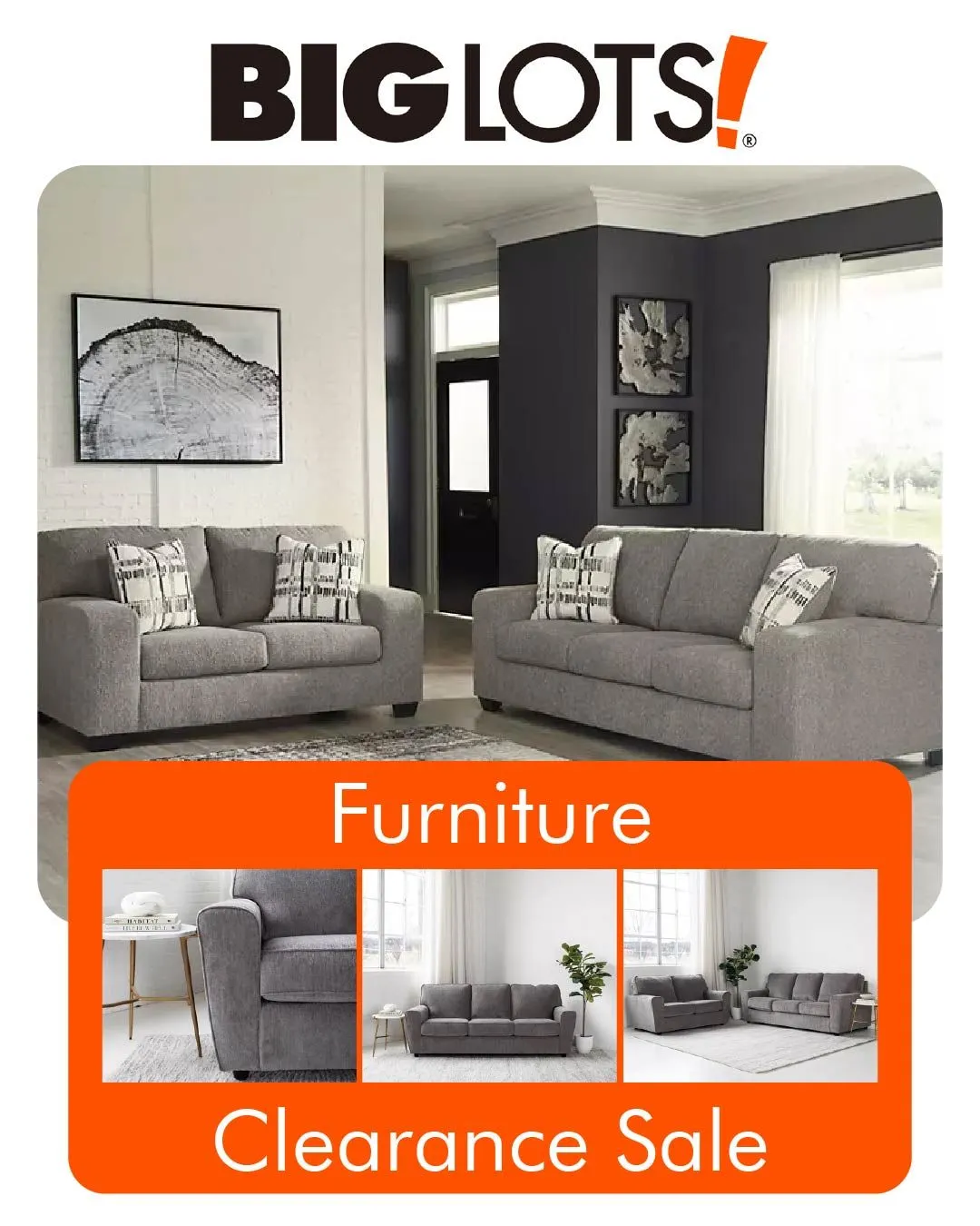 Weekly ad Big Lots Home & Decoration Deals from July 6 to July 11 2024 - Page 1