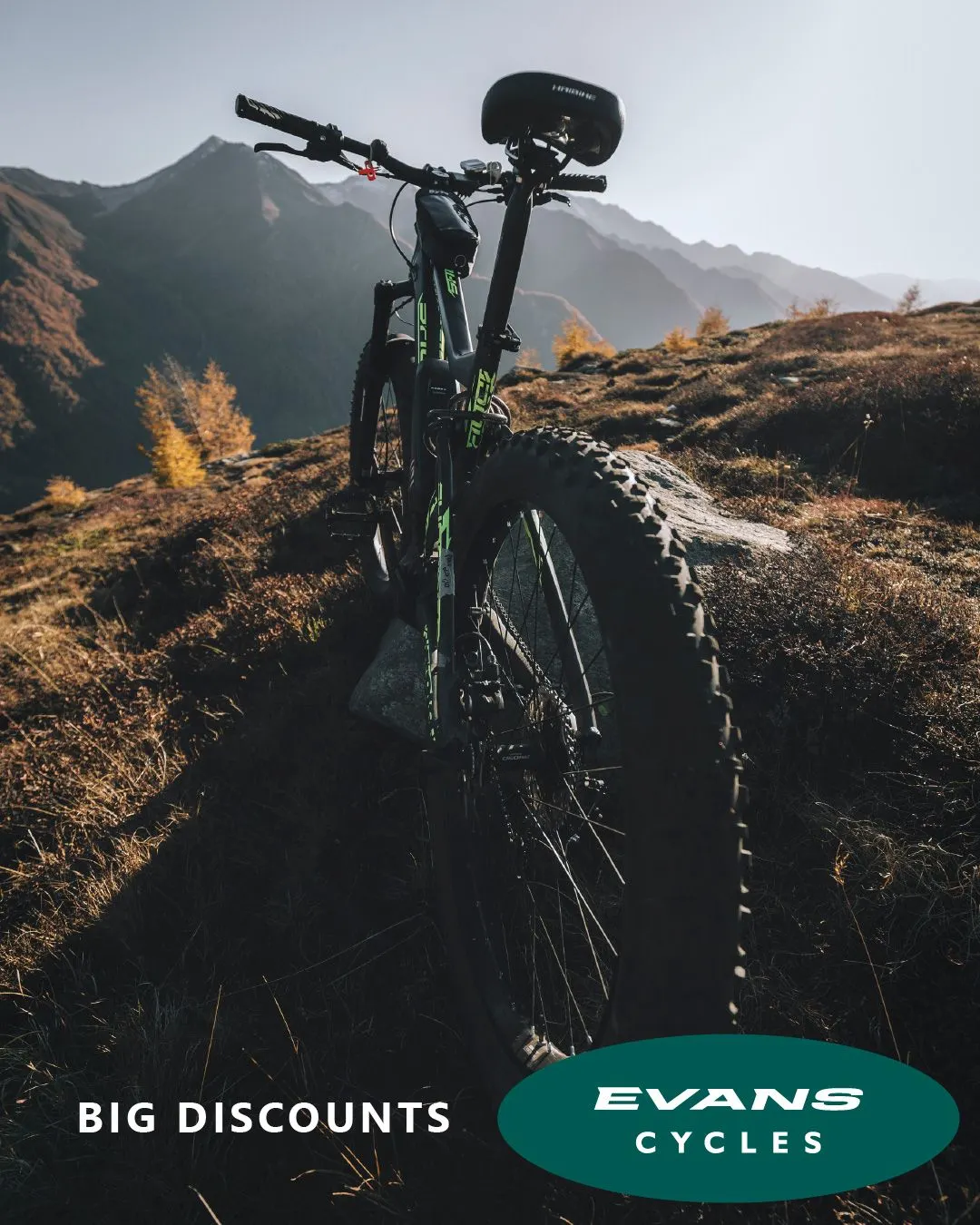 Evans Cycles from 19 October to 24 October 2023 - Catalogue Page