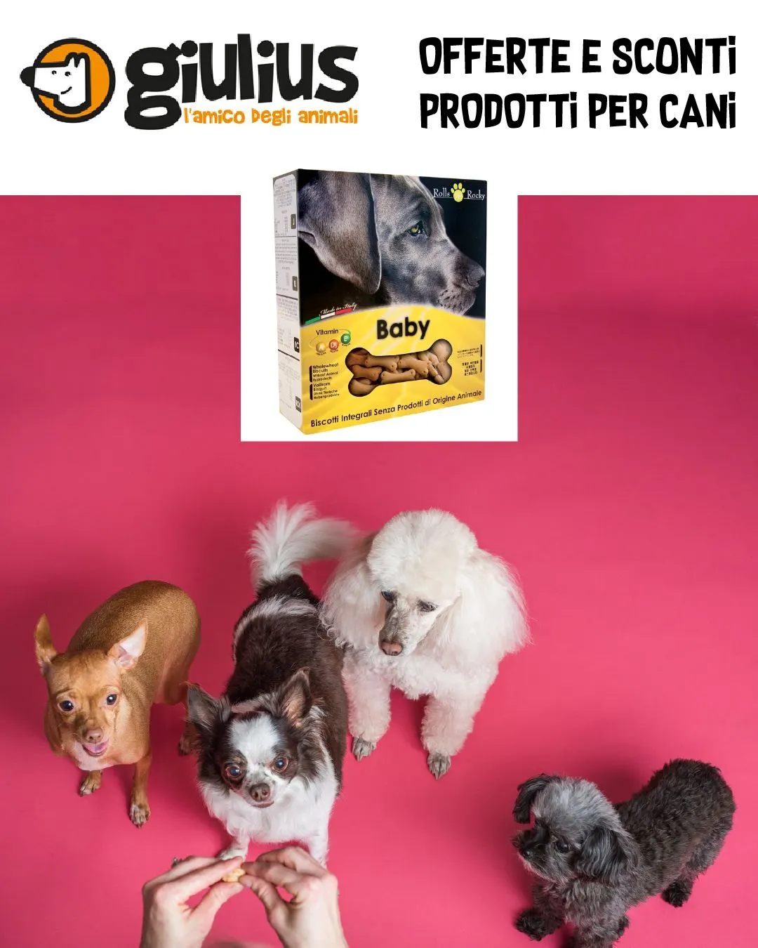 Giulius da 31 marzo a 5 aprile di 2024 - Pagina del volantino