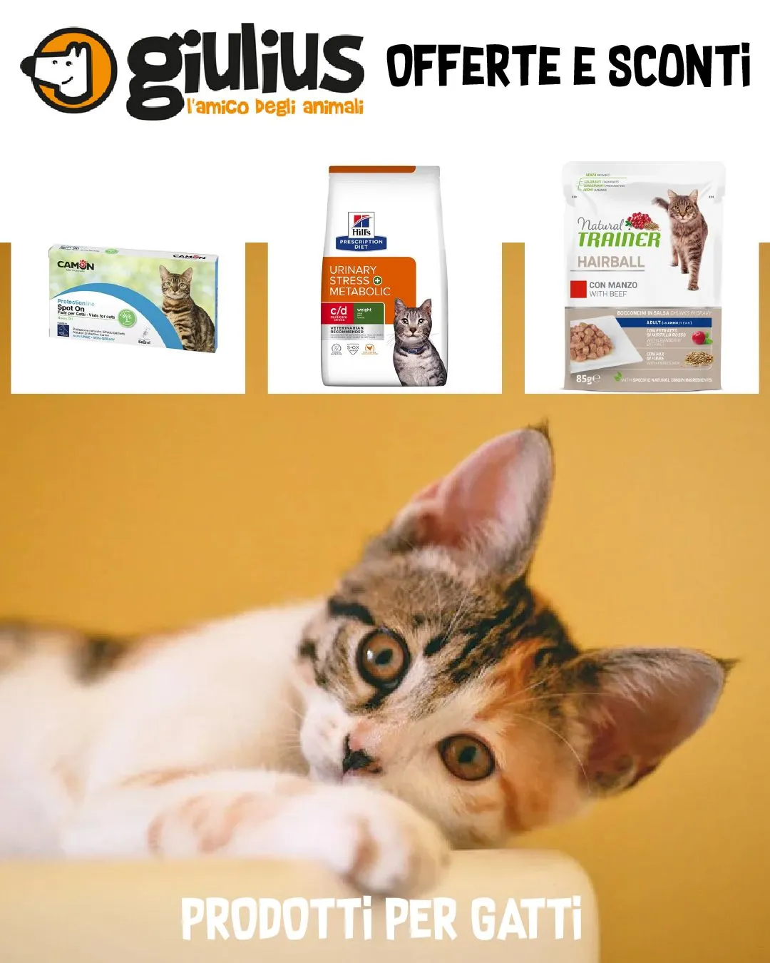 Giulius da 31 marzo a 5 aprile di 2024 - Pagina del volantino