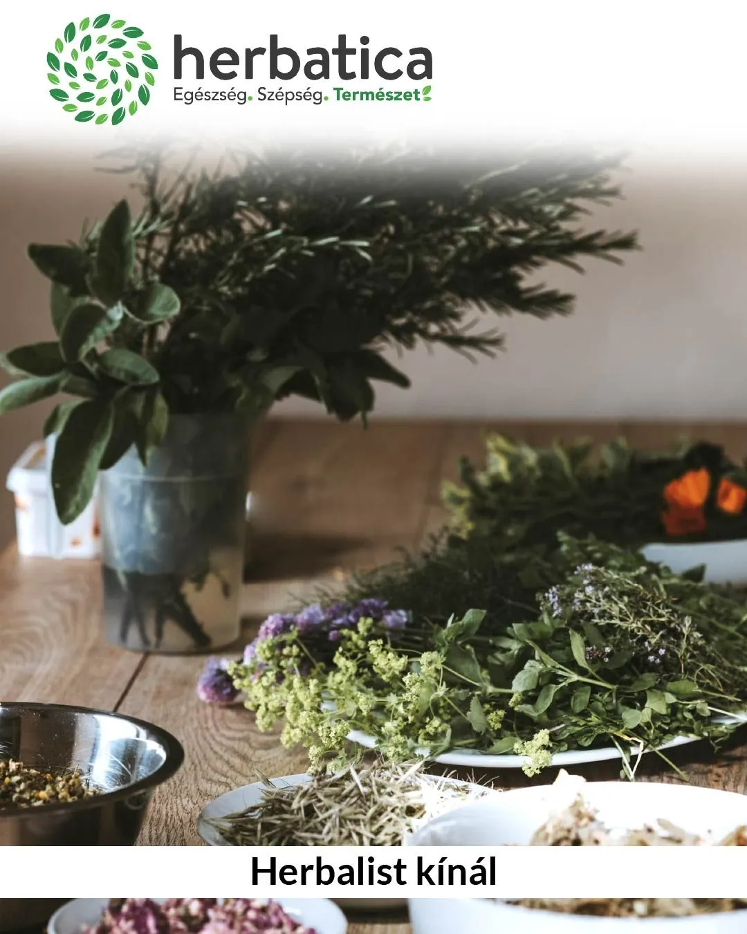 Katalógus Herbalist kínál március 19.-tól március 24.-ig 2024. - Oldal 