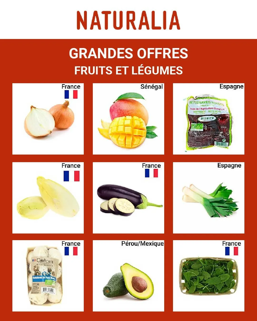 Naturalia du 17 mai au 22 mai 2024 - Catalogue page