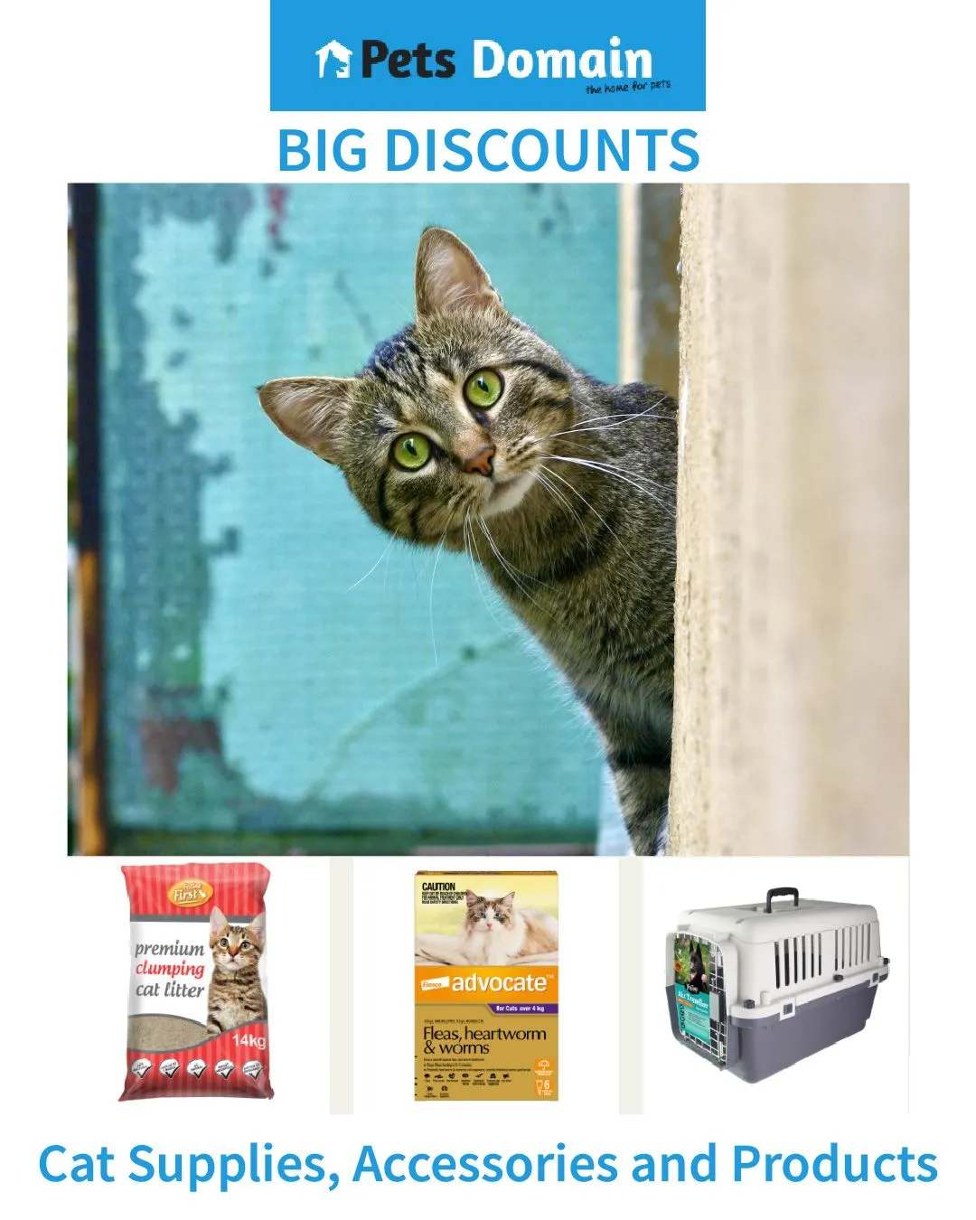 Pets Domain offers - cats - Catalogue valid from 16 July to 21 July 2024 - page
