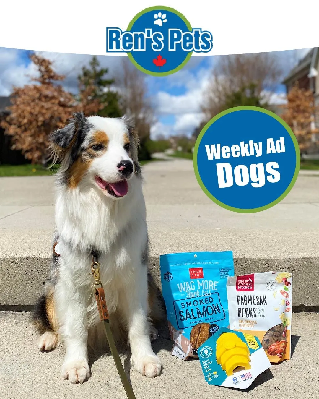 Ren's Pets Dog Deals from July 12 to July 17 2024 - flyer page 1