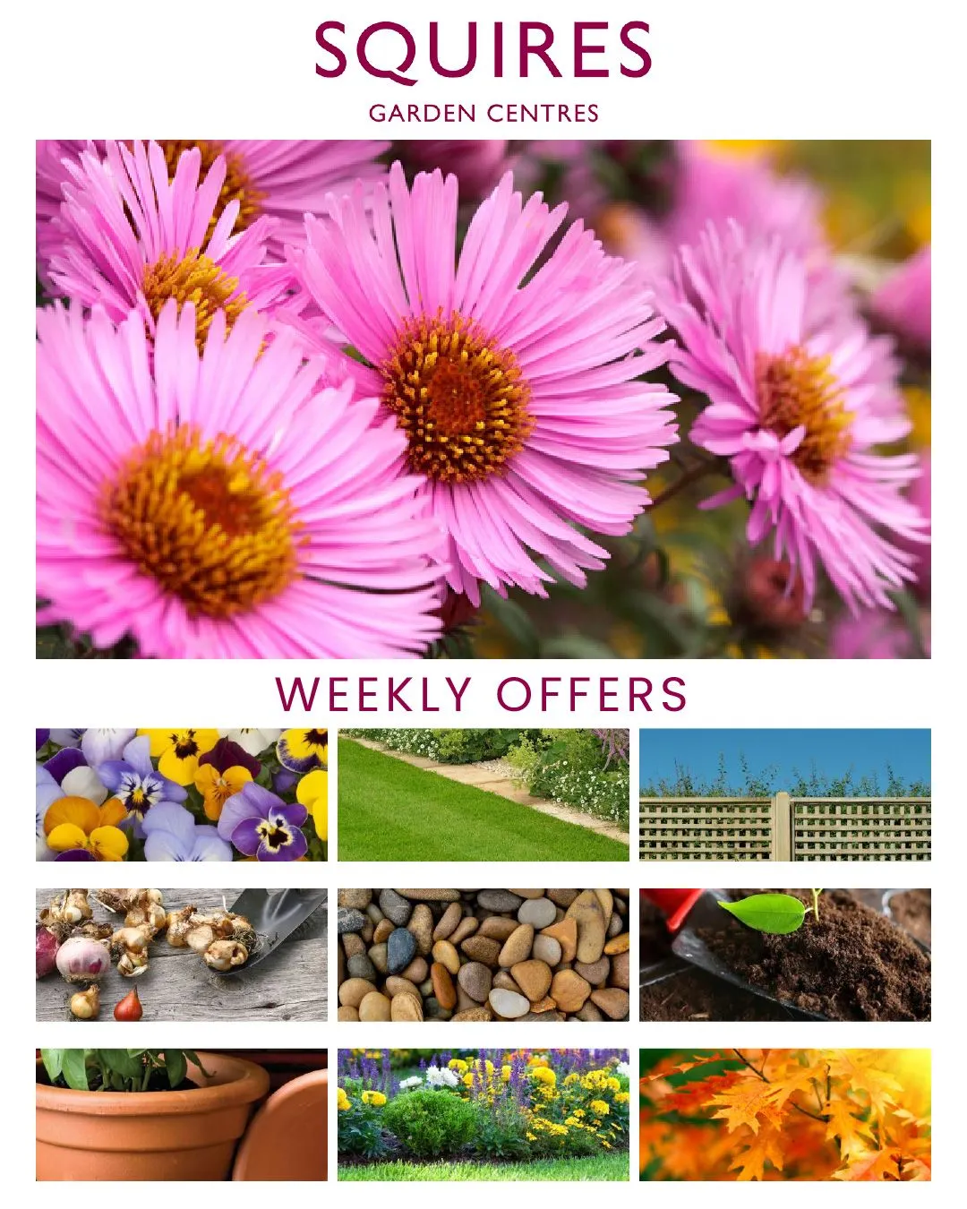 Squire's Garden Centres from 18 December to 23 December 2023 - Catalogue Page 