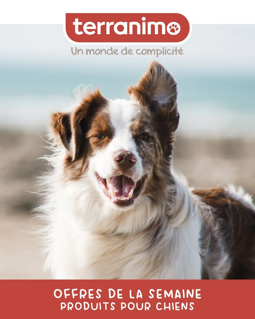 Terranimo du 13 mars au 18 mars 2024 - Catalogue page 