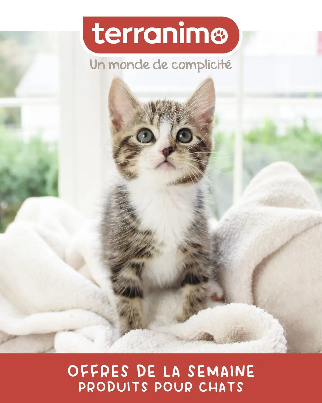 Offres sur les aliments pour animaux du 9 mars au 14 mars 2024 - Catalogue page 