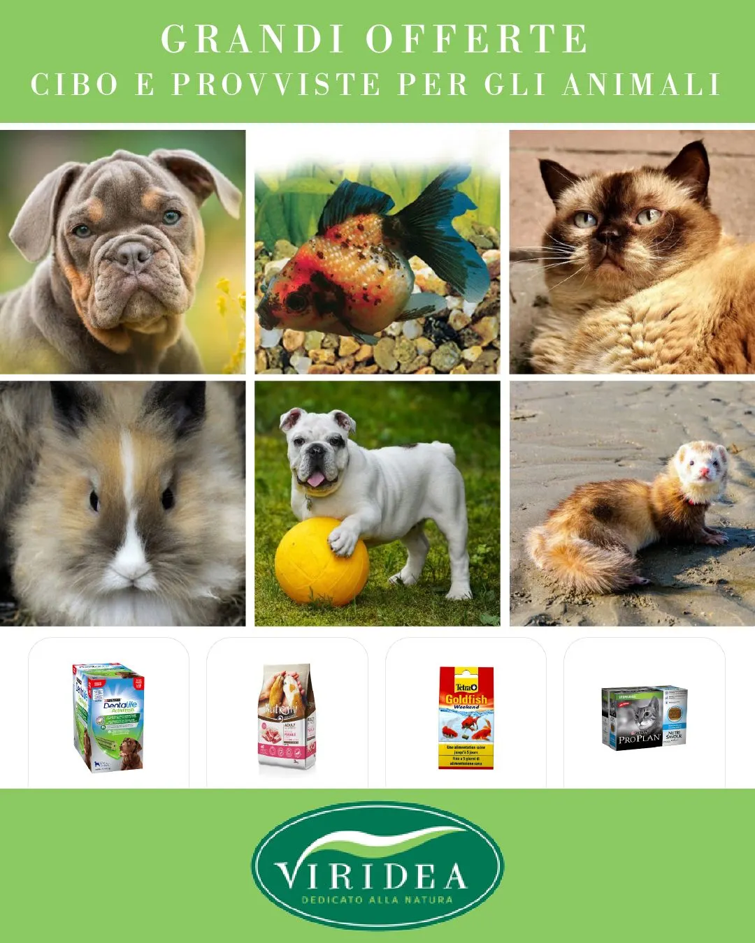 Viridea catalogo da 15 agosto a 20 agosto di 2024 - Pagina del volantino 