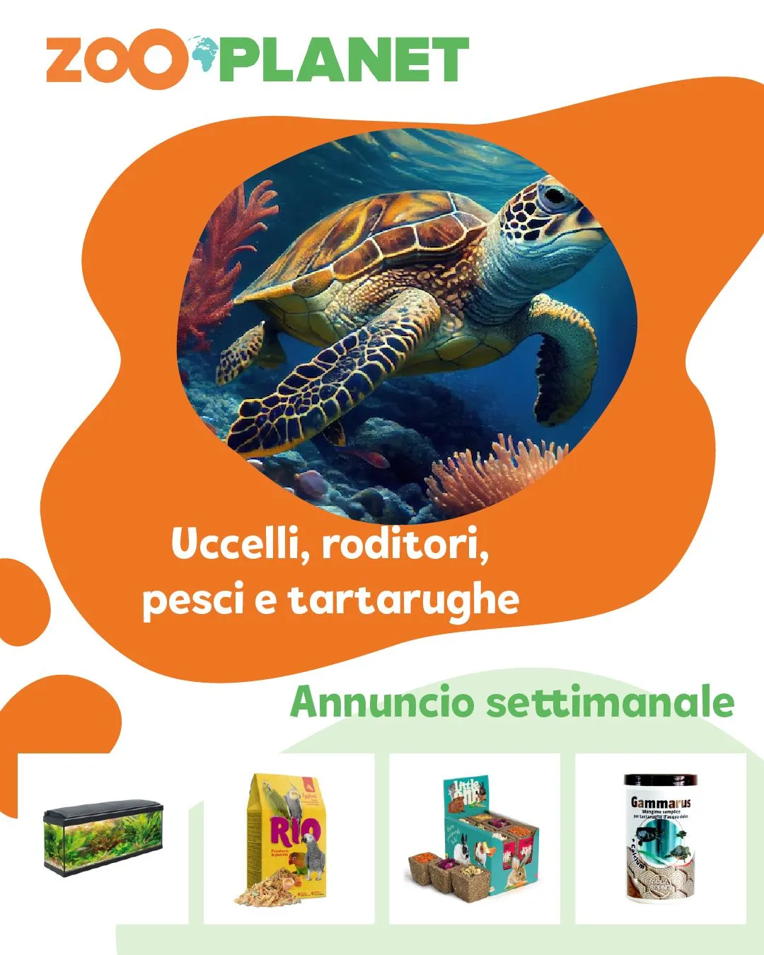 ZooPlanet catalogo da 28 luglio a 2 agosto di 2024 - Pagina del volantino 