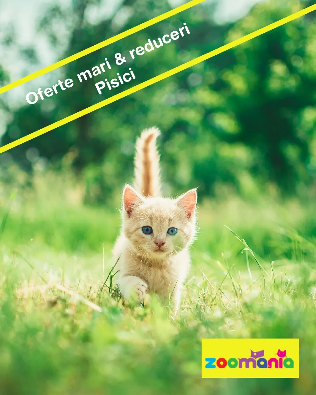 Catalog Zoomania oferte de la 11 iulie până la 16 iulie 2024 - Revista Pagina 1