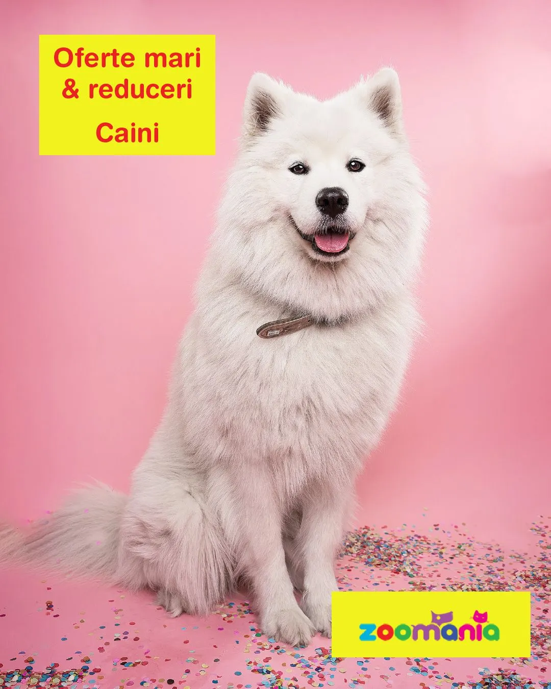 Catalog Zoomania de la 10 martie până la 15 martie 2024 - Revista Pagina 1