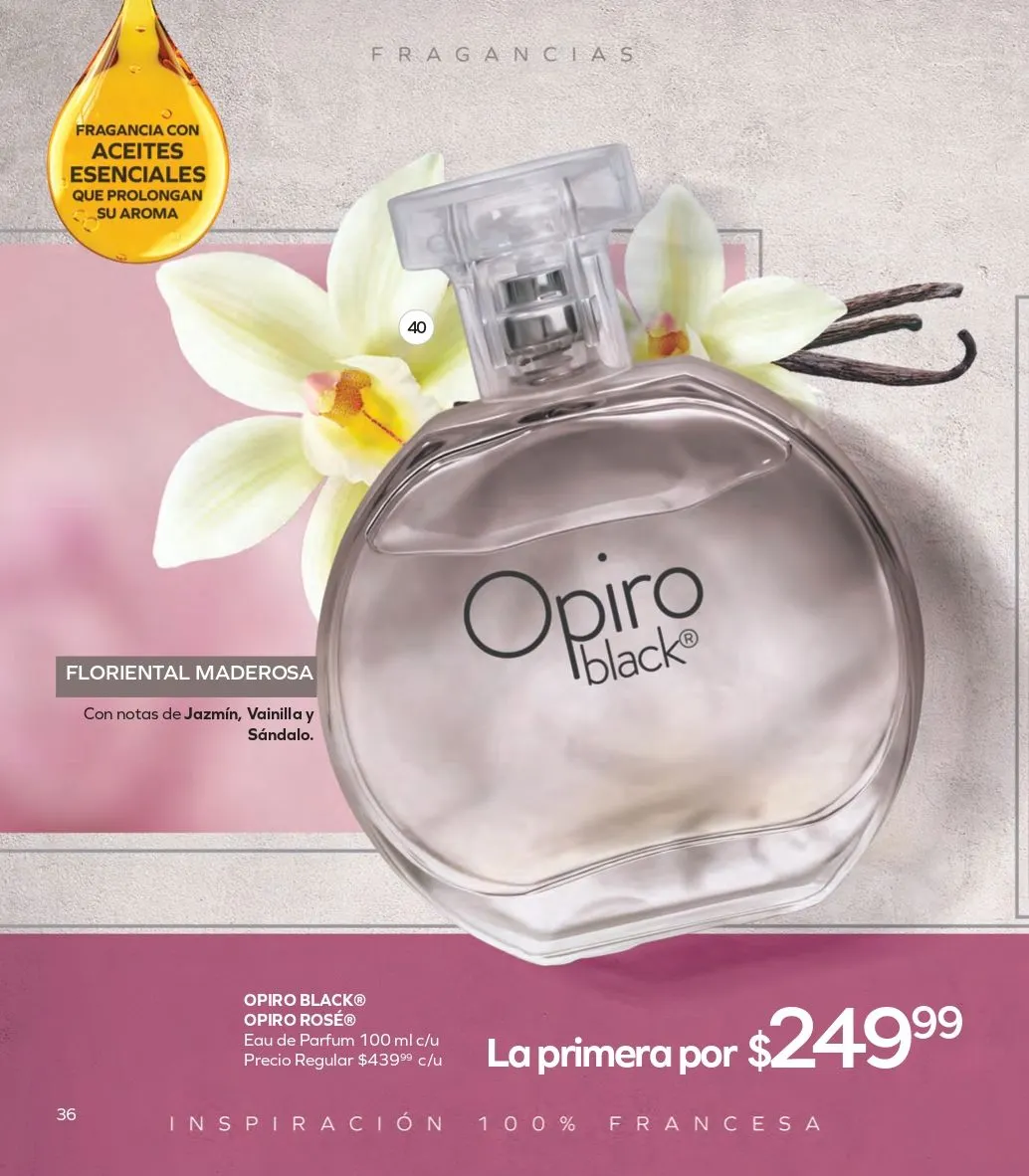 Catálogo de  Stanhome catálogos y ofertas 26 de mayo al 13 de junio 2025 - Pagina 28