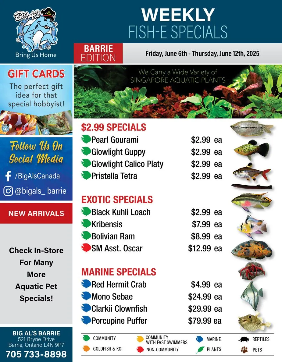 Big Al's Pets Deals from June 11 to June 12 2025 - flyer page 