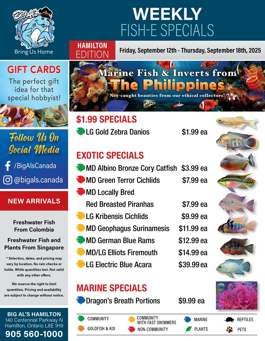  Big Al's Pets flyers from September 12 to September 18 2025 - flyer page 1