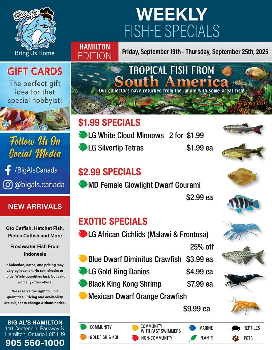 Big Al's Pets Sales from September 19 to September 25 2025 - flyer page 
