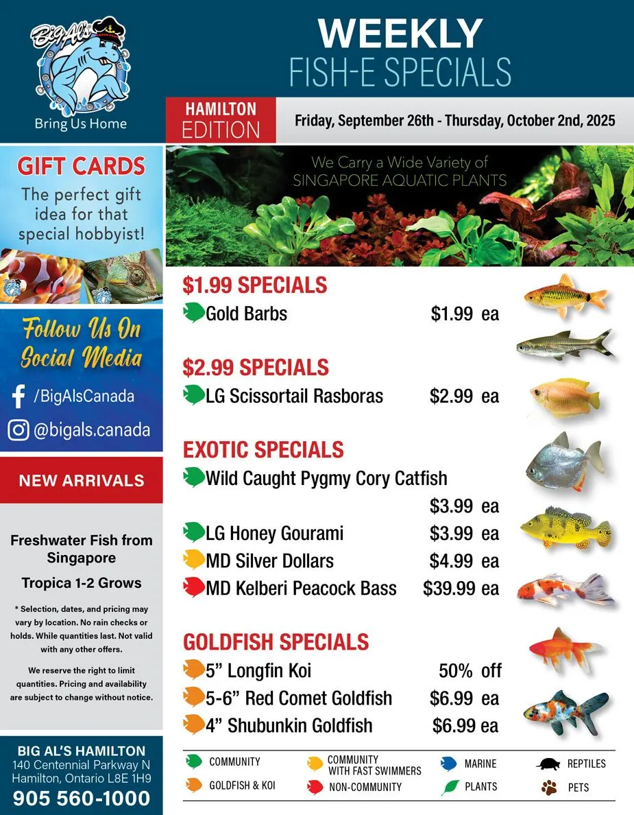 Big Al's Pets Sales from September 26 to October 2 2025 - flyer page 1