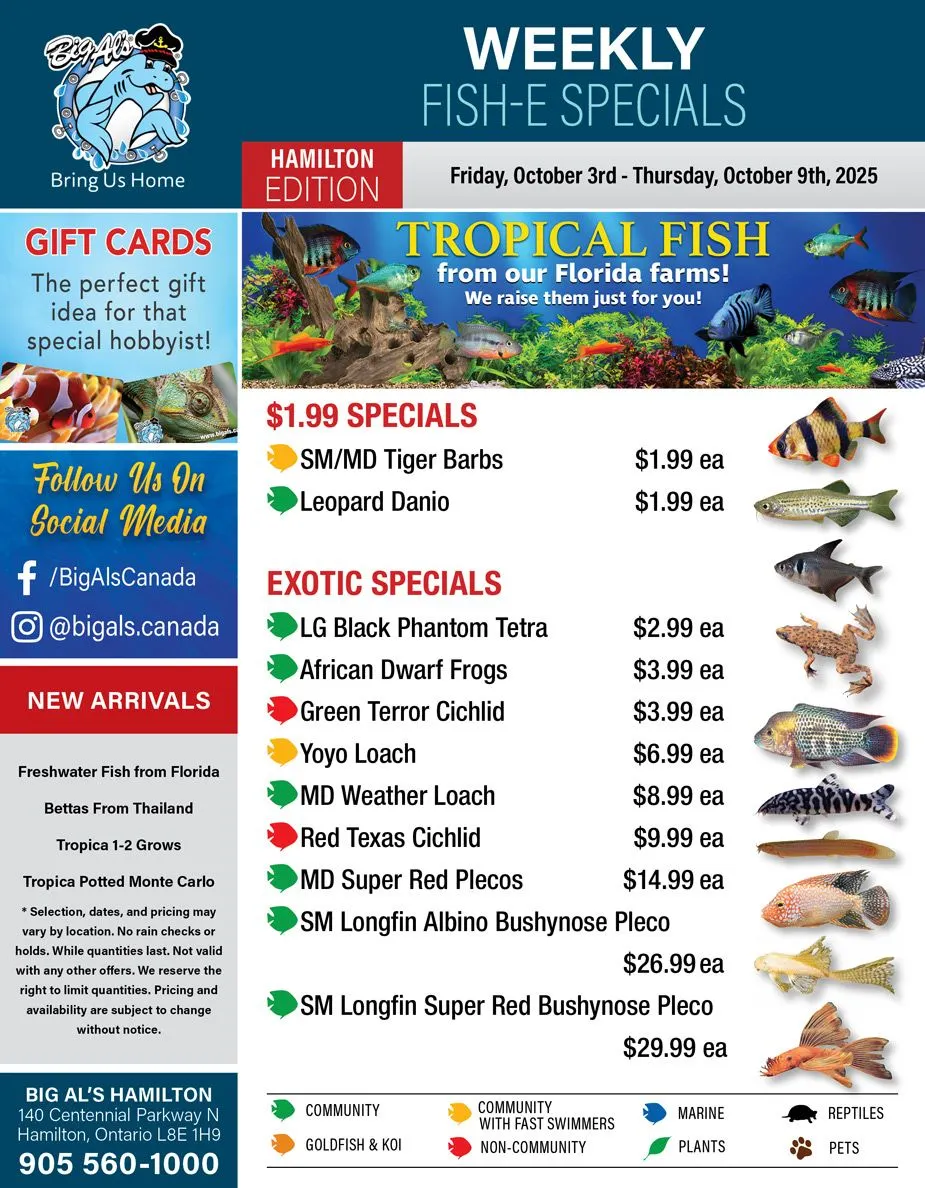 Big Al's Pets Sales from October 3 to October 9 2025 - flyer page 1