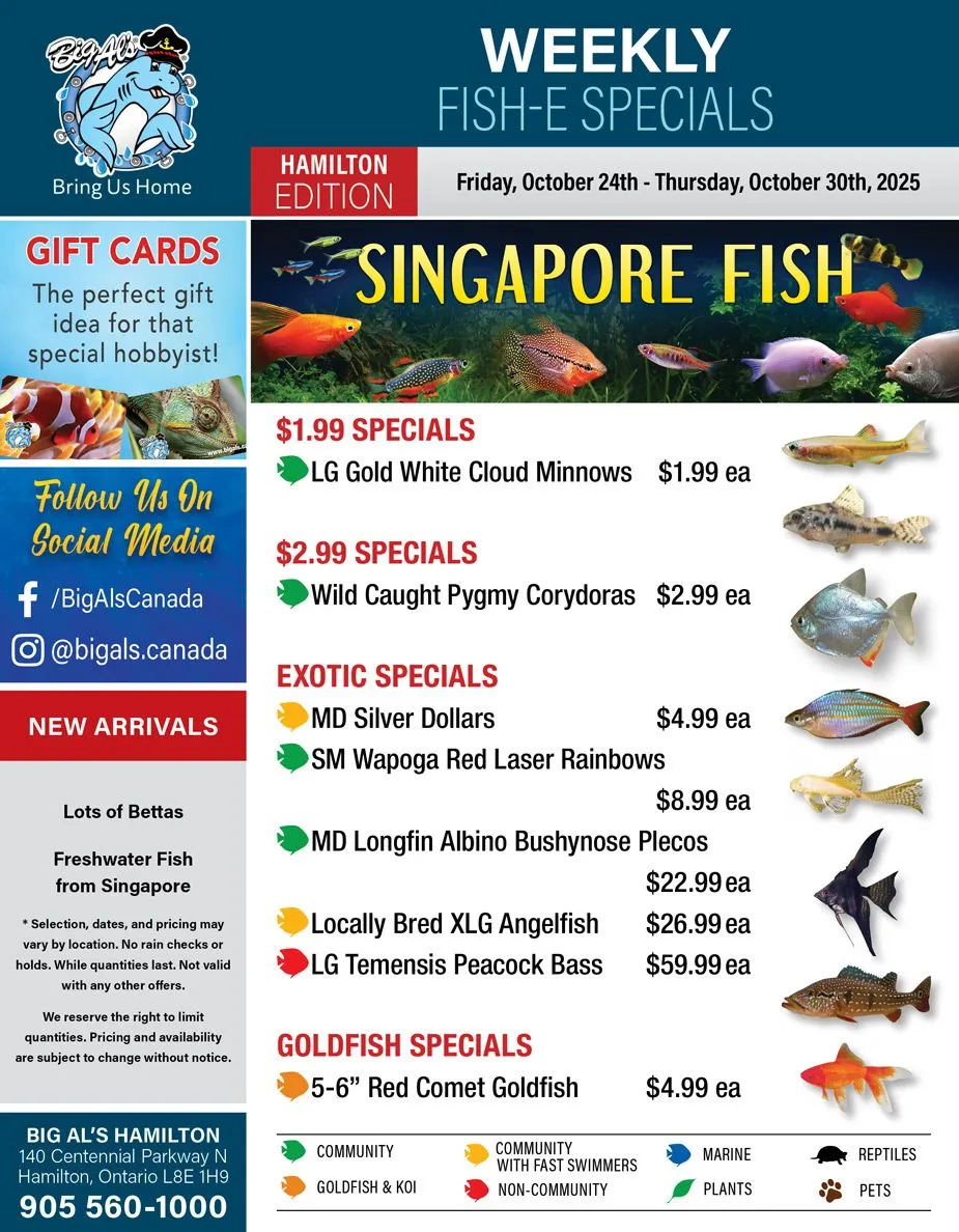 Big Al's Pets Sales from October 24 to October 30 2025 - flyer page 
