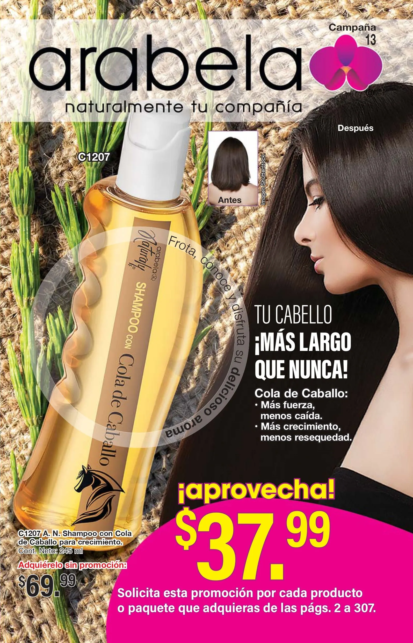 Catálogo de CAMPAÑA 13: ARABELA 18 de junio al 31 de diciembre 2024 - Pagina 1