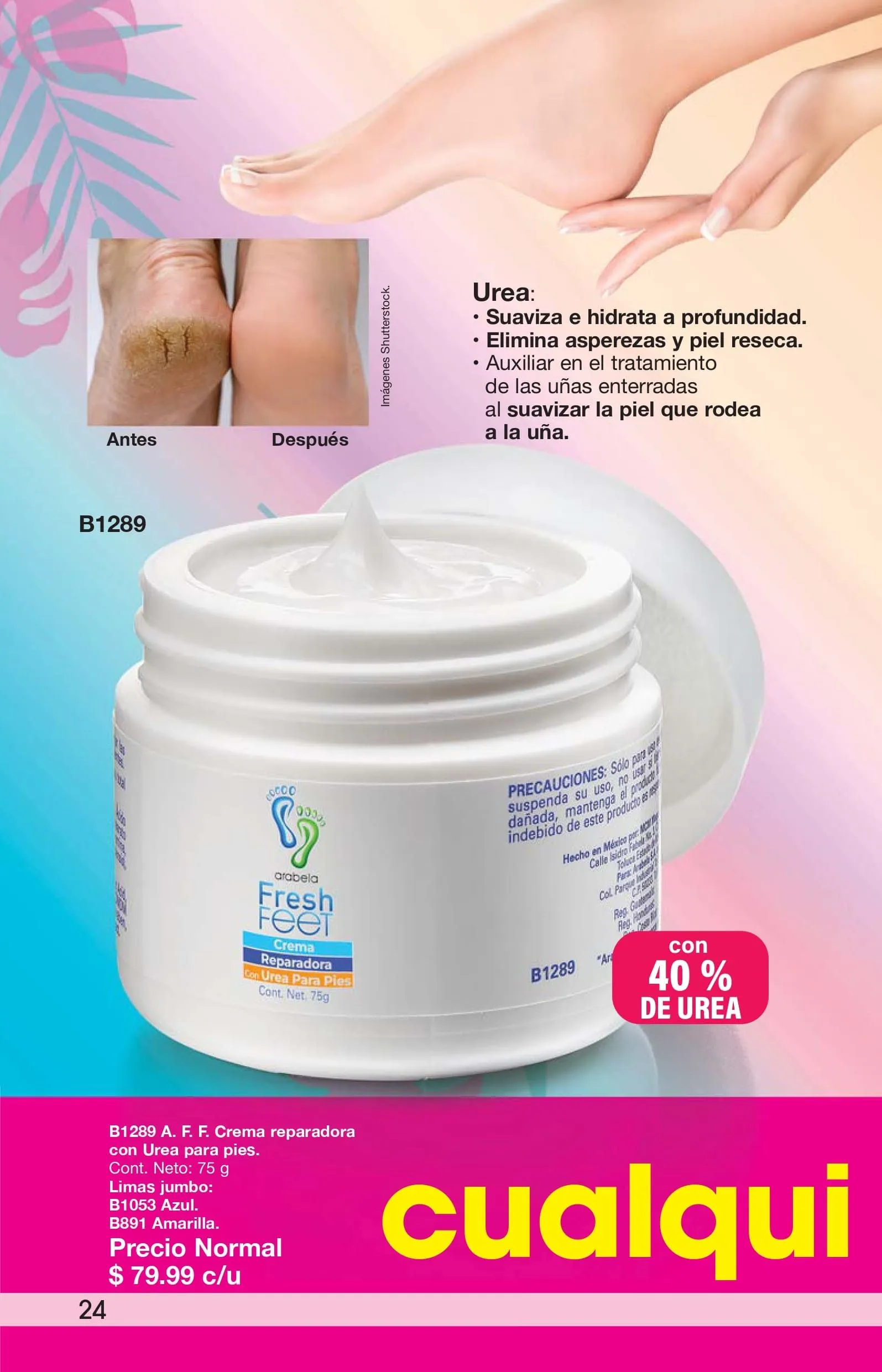 Catálogo de CAMPAÑA 13: ARABELA 18 de junio al 31 de diciembre 2024 - Pagina 6