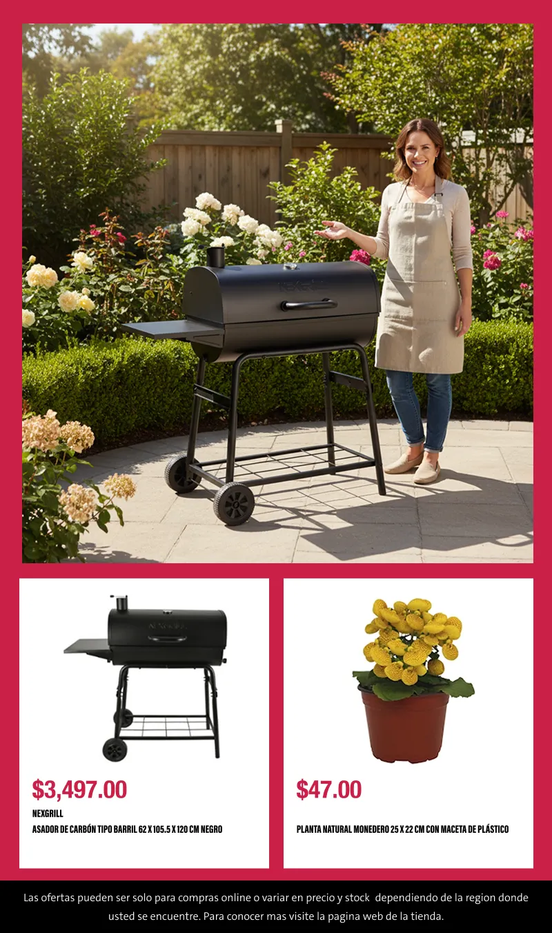 Catálogo de Buen fin 6 de noviembre al 13 de noviembre 2025 - Pagina 10