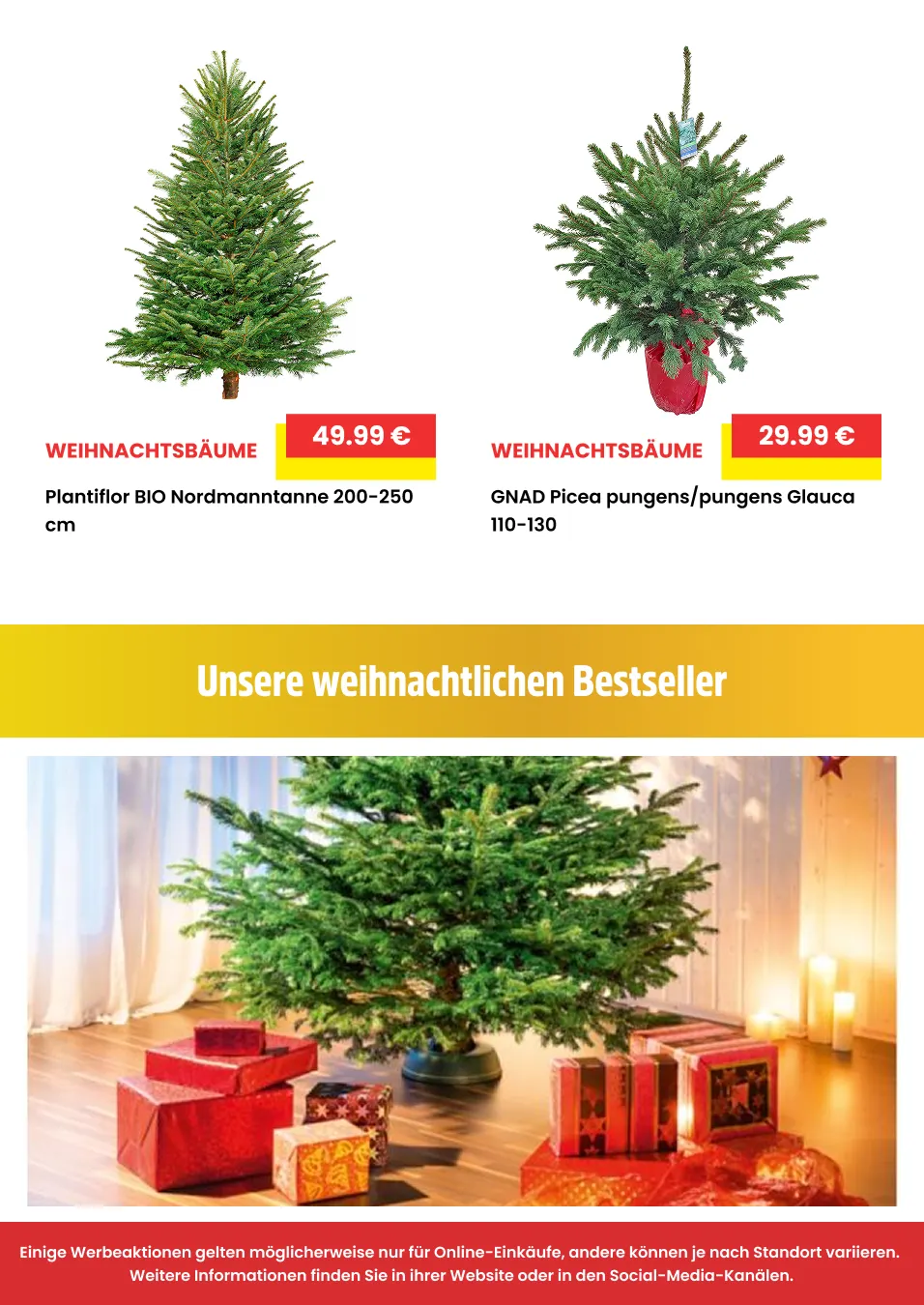 Rabatte von 12. Dezember bis 31. Dezember 2025 - Prospekt seite 10