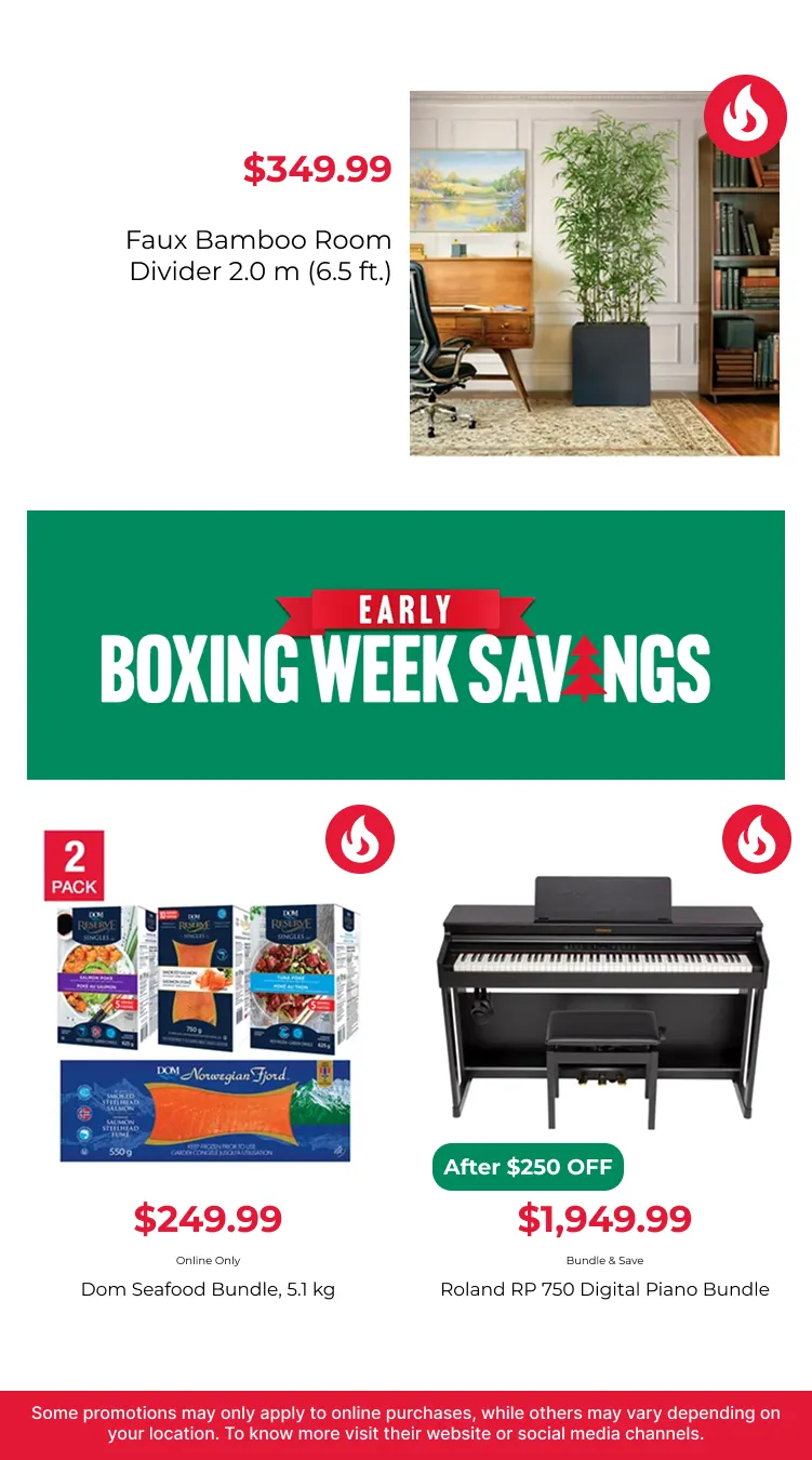 Boxing day from December 23 to January 8 2026 - flyer page 10