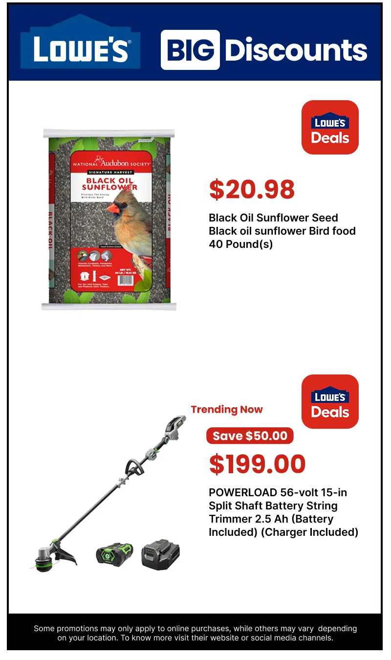 Weekly ad Big discounts from January 26 to February 9 2026 - Page 11